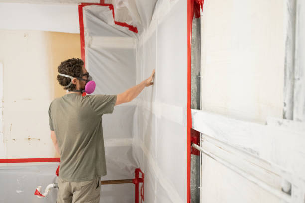 Best Post-Construction Mold Inspection  in Middletown, CA