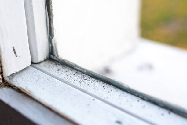 Best Mold Remediation for Healthcare Facilities  in Middletown, CA